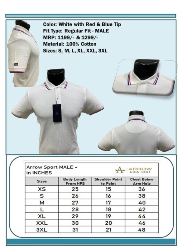 Arrow-T-Shirts with tipping (White with Red & Blue Tip) Male
