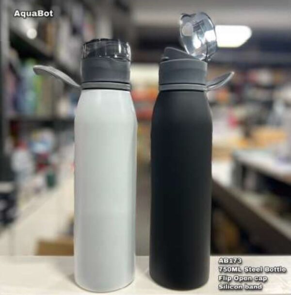 AB 173 750ml steel bottle