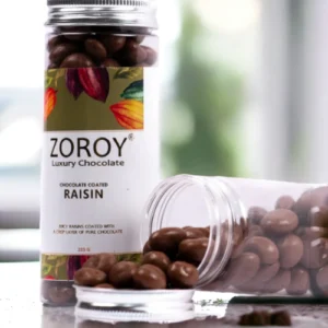 CAZY0213 ZOROY Luxury CHOCOLATE COATED NUTS (Chocolate Raisin 200g)