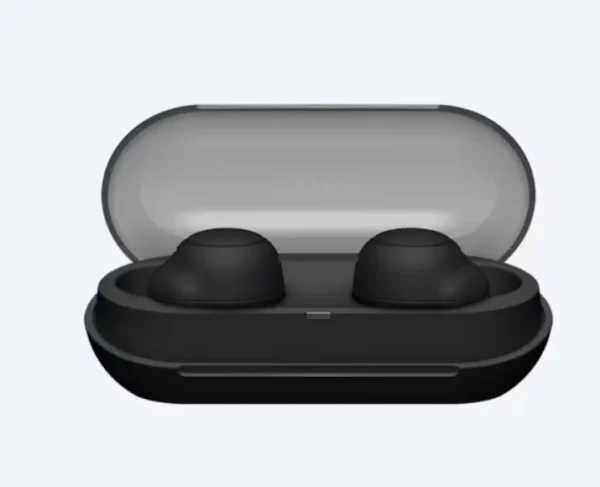 Sony WF-C500_BK Truly Wireless Bluetooth Earbuds